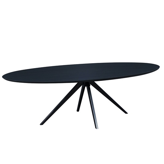Vermeer ovale eettafel VIJS